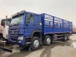 Sinotruk Howo 8x4 cargo truck