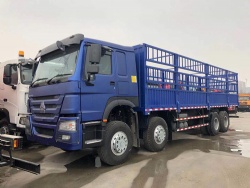 Sinotruk Howo cargo truck